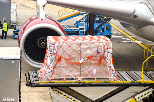 Aircraft cargo loading expedited service
